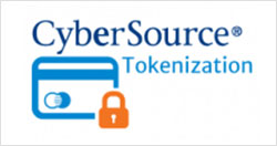 Magento 2 CyberSource Payment Module