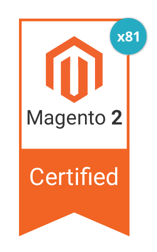 Magento 2 Developers