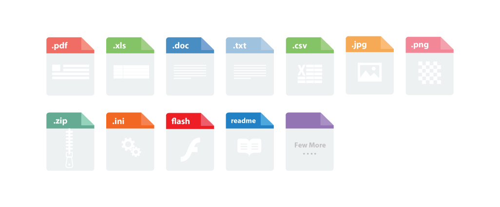 Supports Majority of Commonly used File Formats